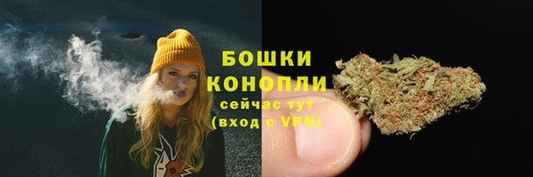 трава Тайга