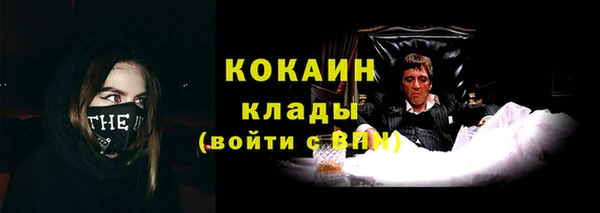 PSILOCYBIN Верхний Тагил
