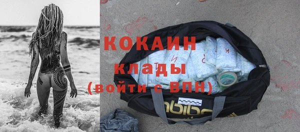 дживик Володарск