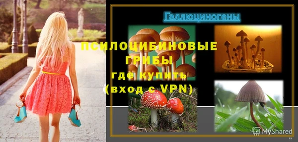 стаф Волосово
