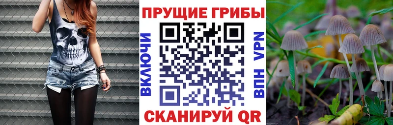 Галлюциногенные грибы Psilocybe Заозёрск